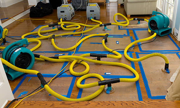 Professional Water Extraction technician working in Laingsburg, MI